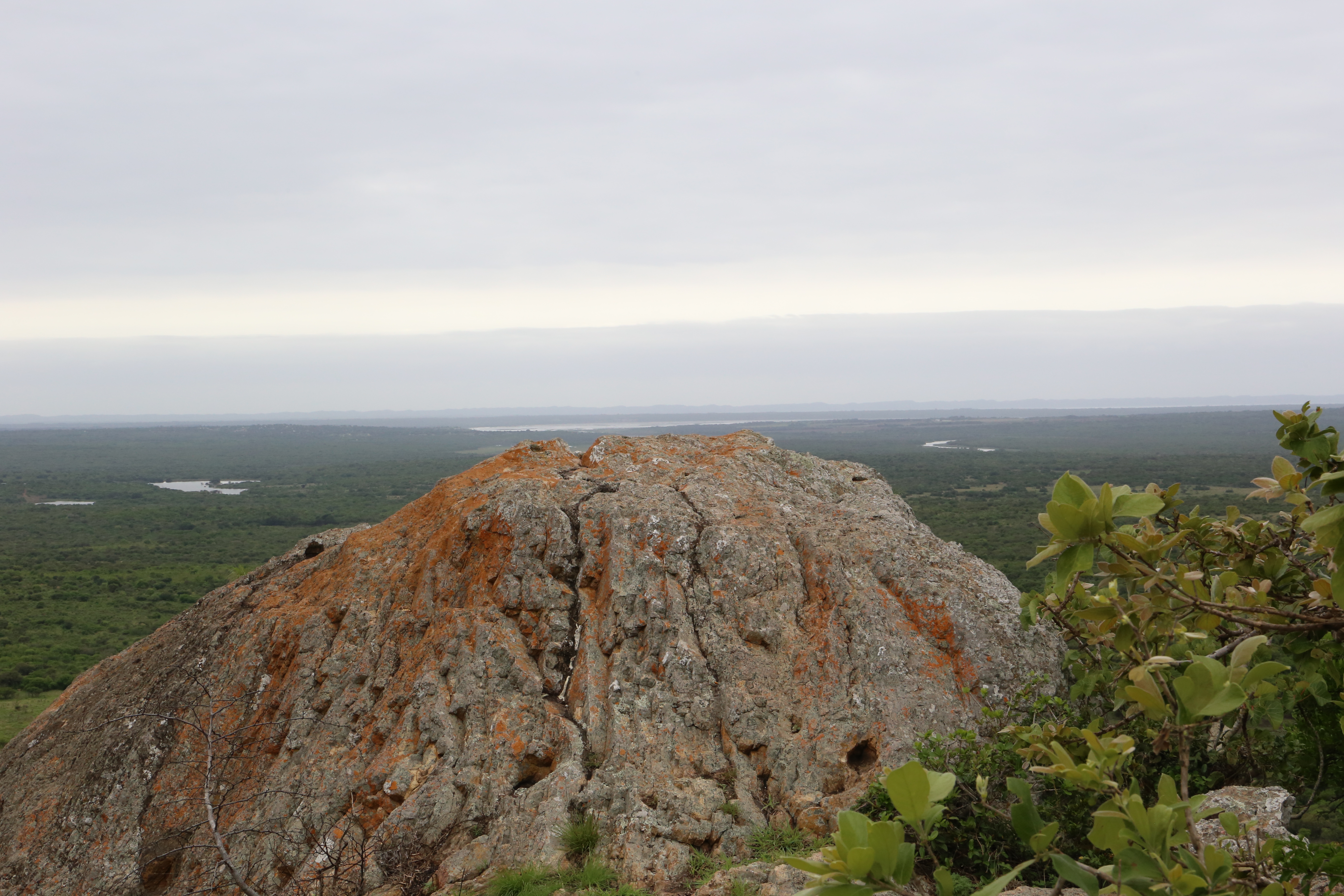 Lake St Lucia from the Mountain